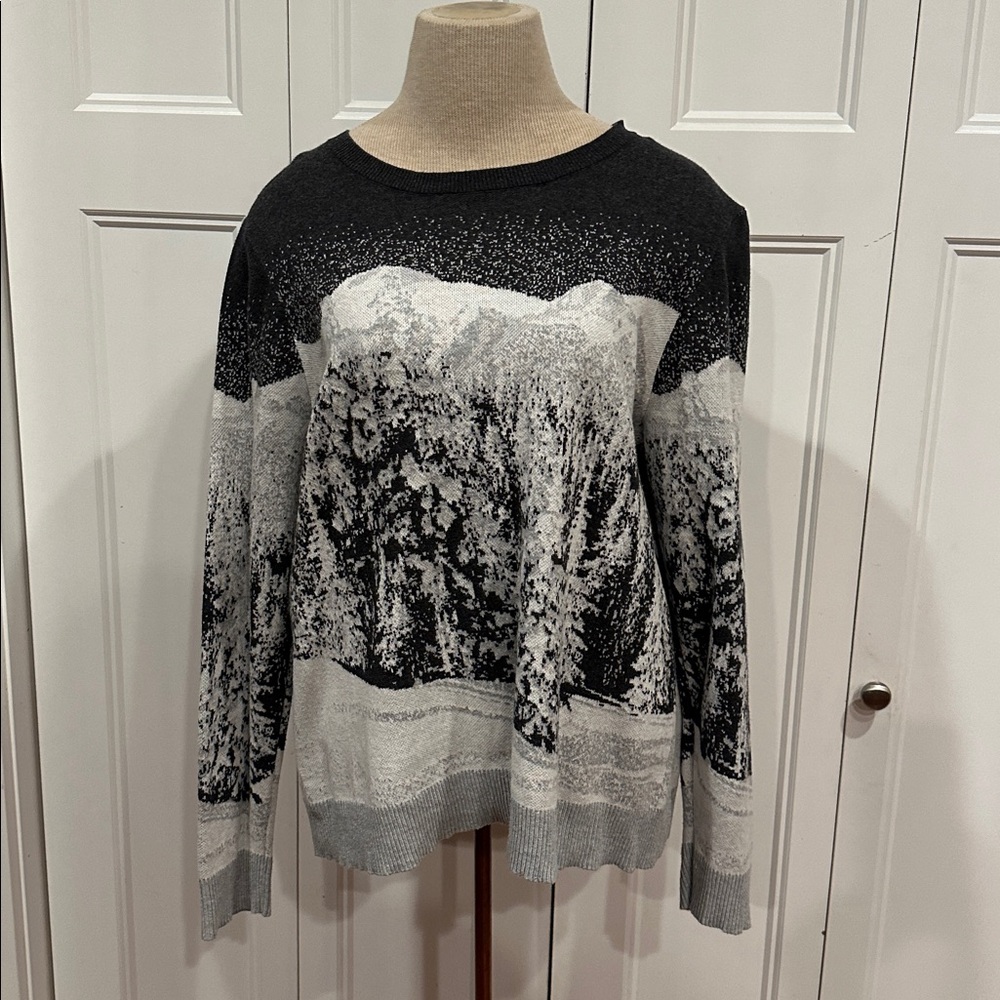 Christopher & Banks Sweater